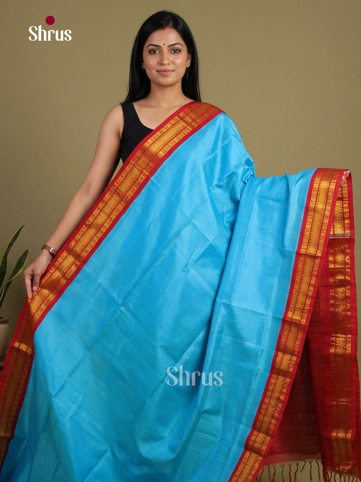 Silk Cotton Saree - EI01227