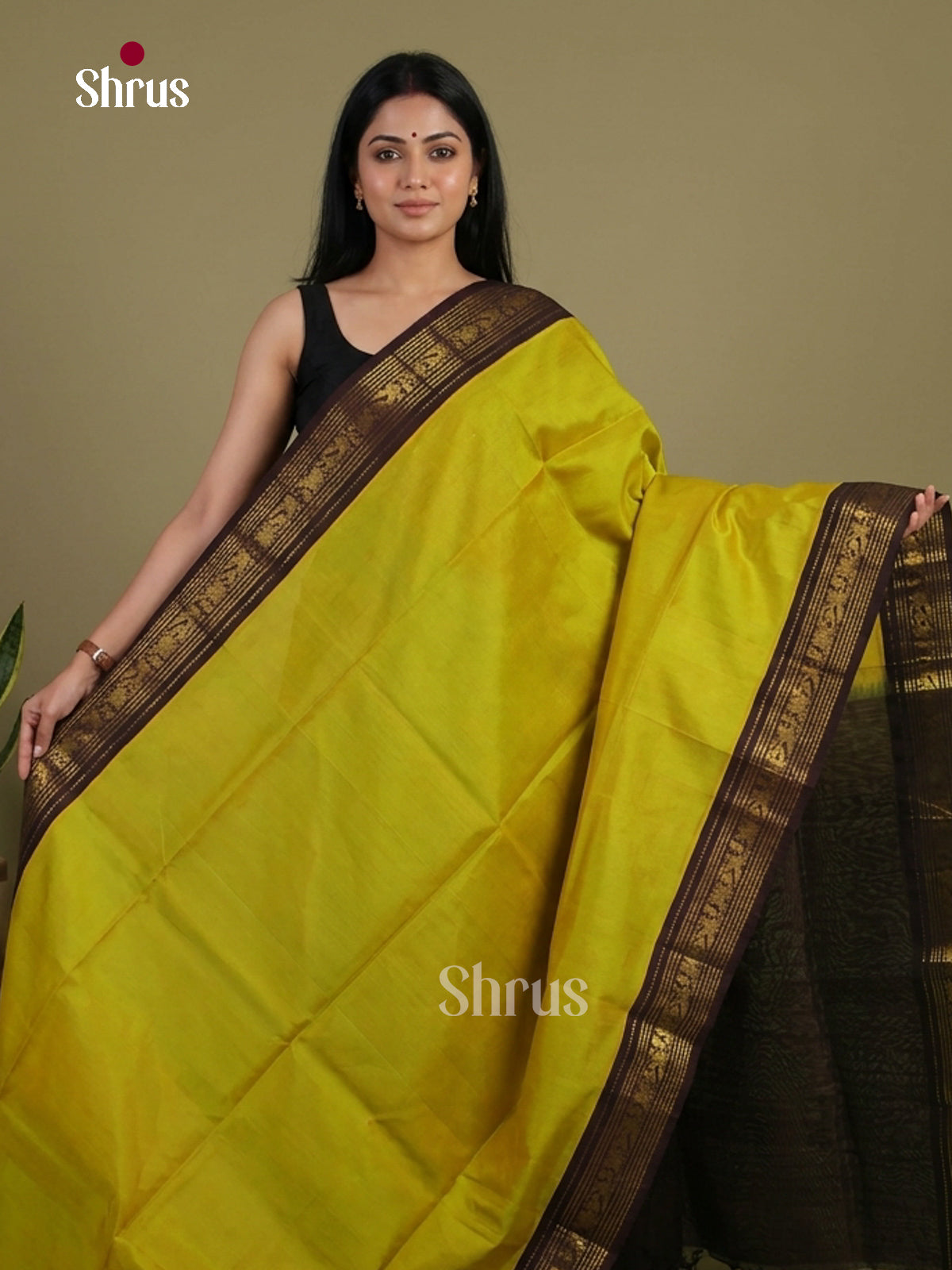 Silk Cotton Saree - EI01233