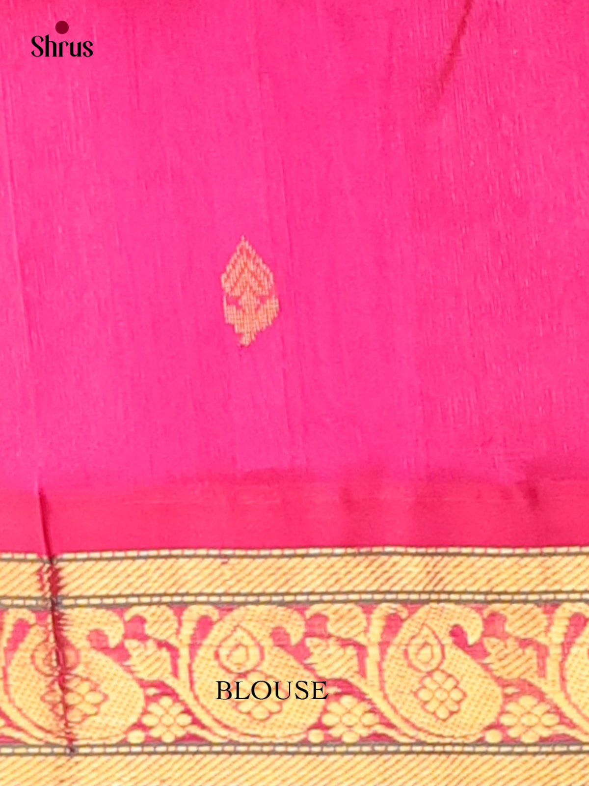 Silk Cotton Saree - EI01237