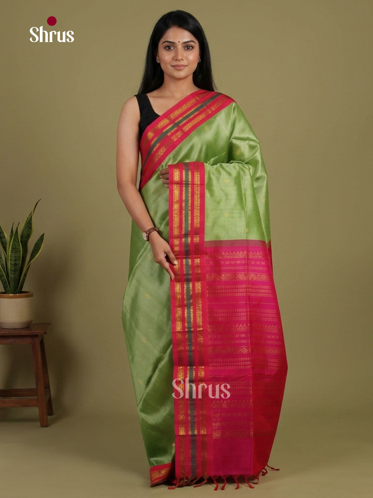Silk Cotton Saree - EI01240