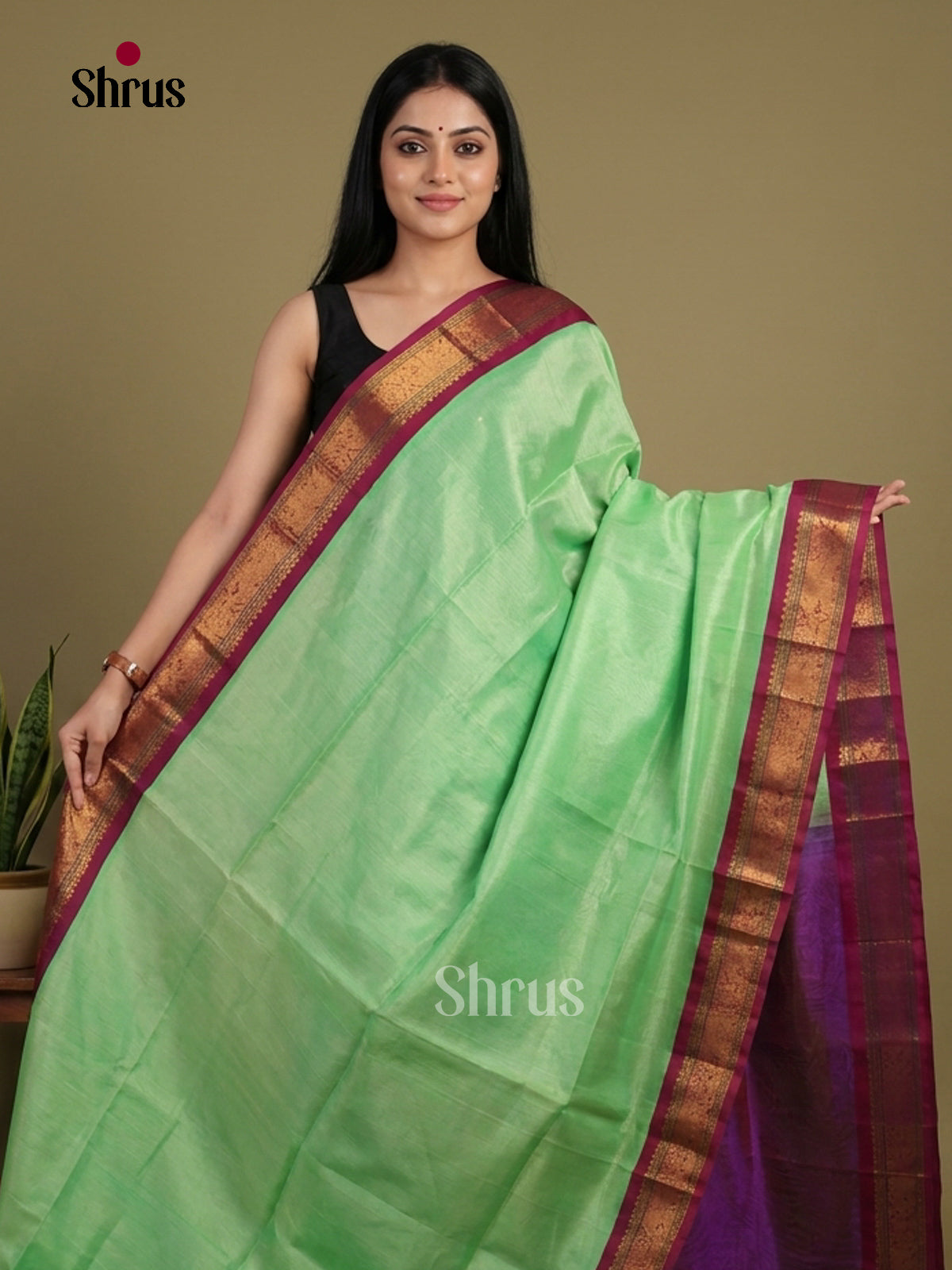 Silk Cotton Saree - EI01242
