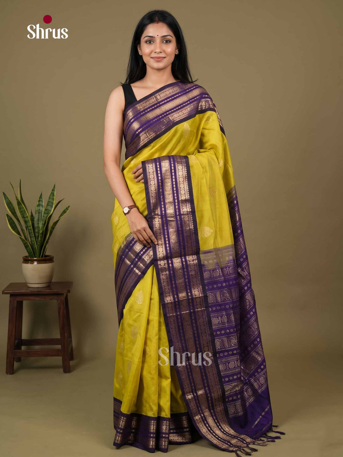 Silk Cotton Saree - EI01255