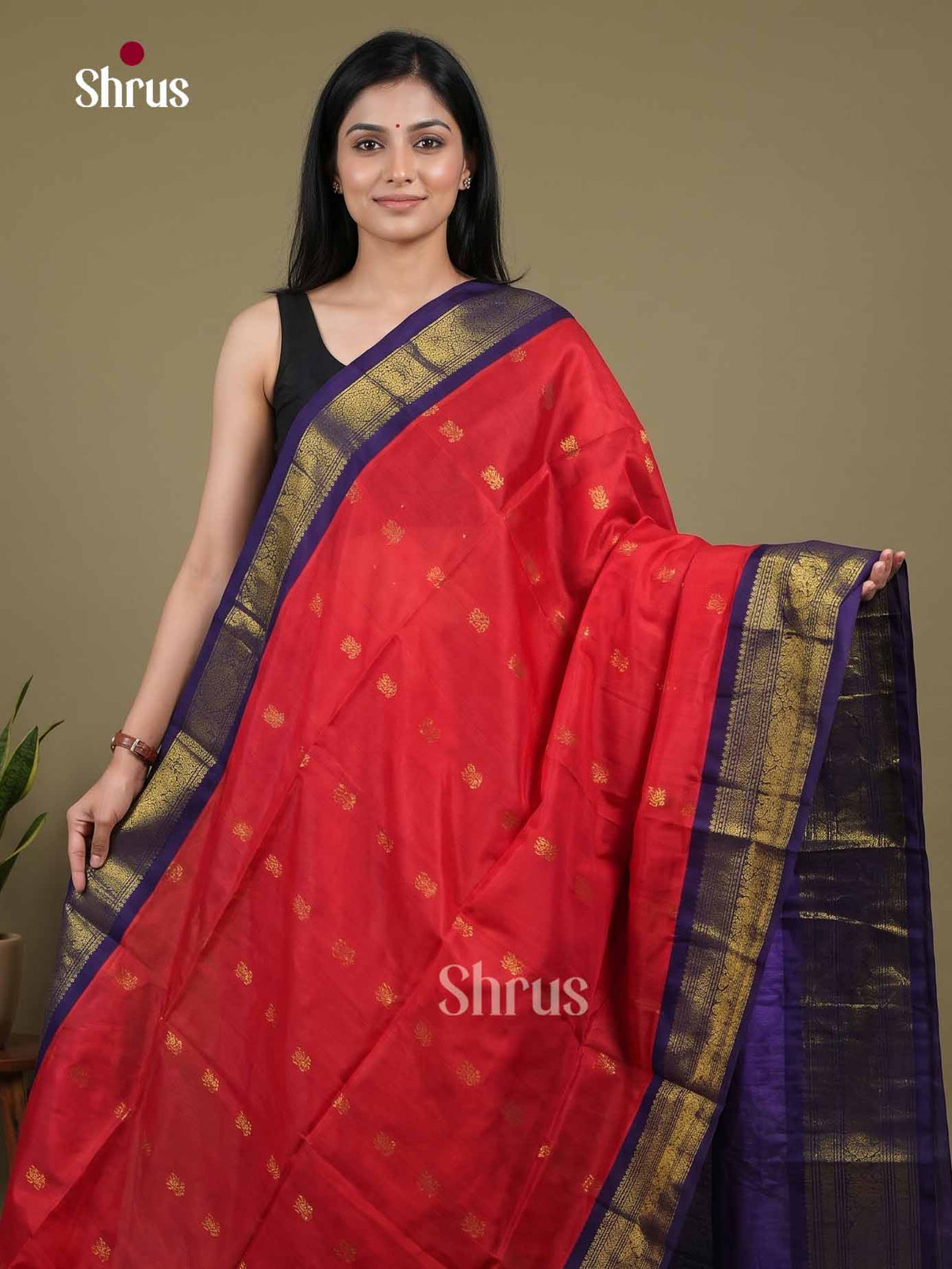 Silk Cotton Saree - EI01260