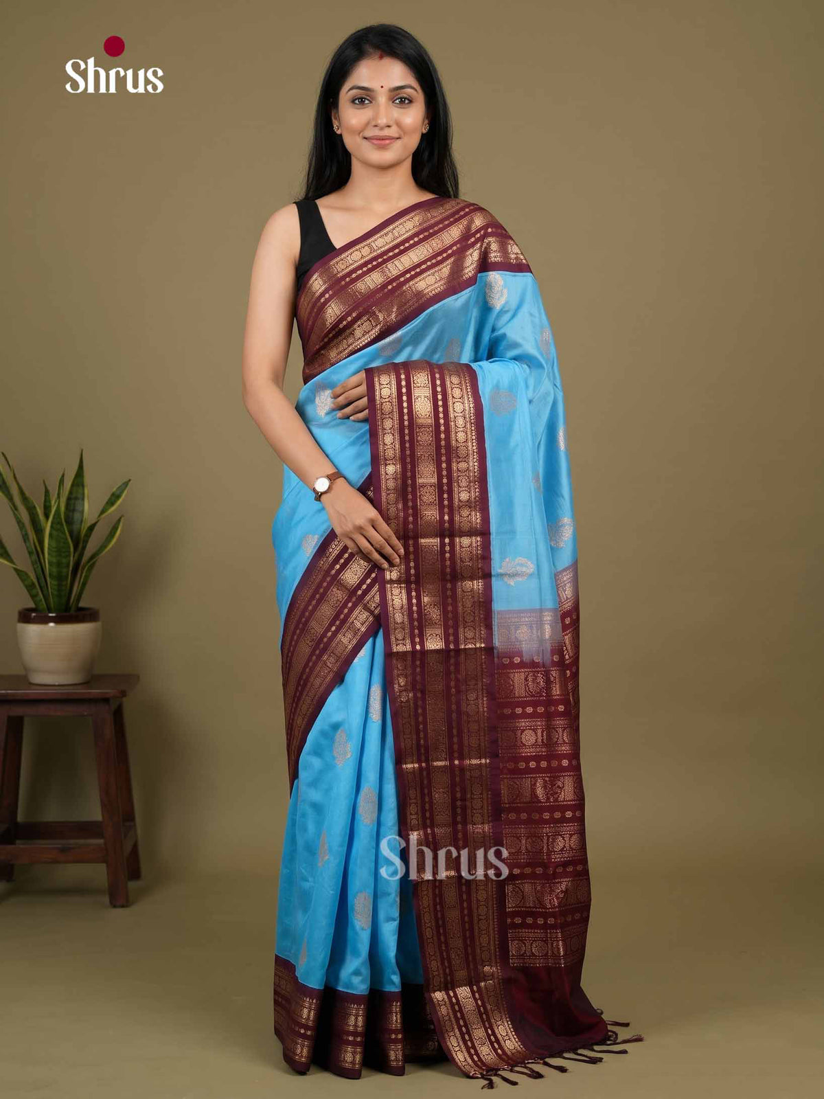 Silk Cotton Saree - EI01264