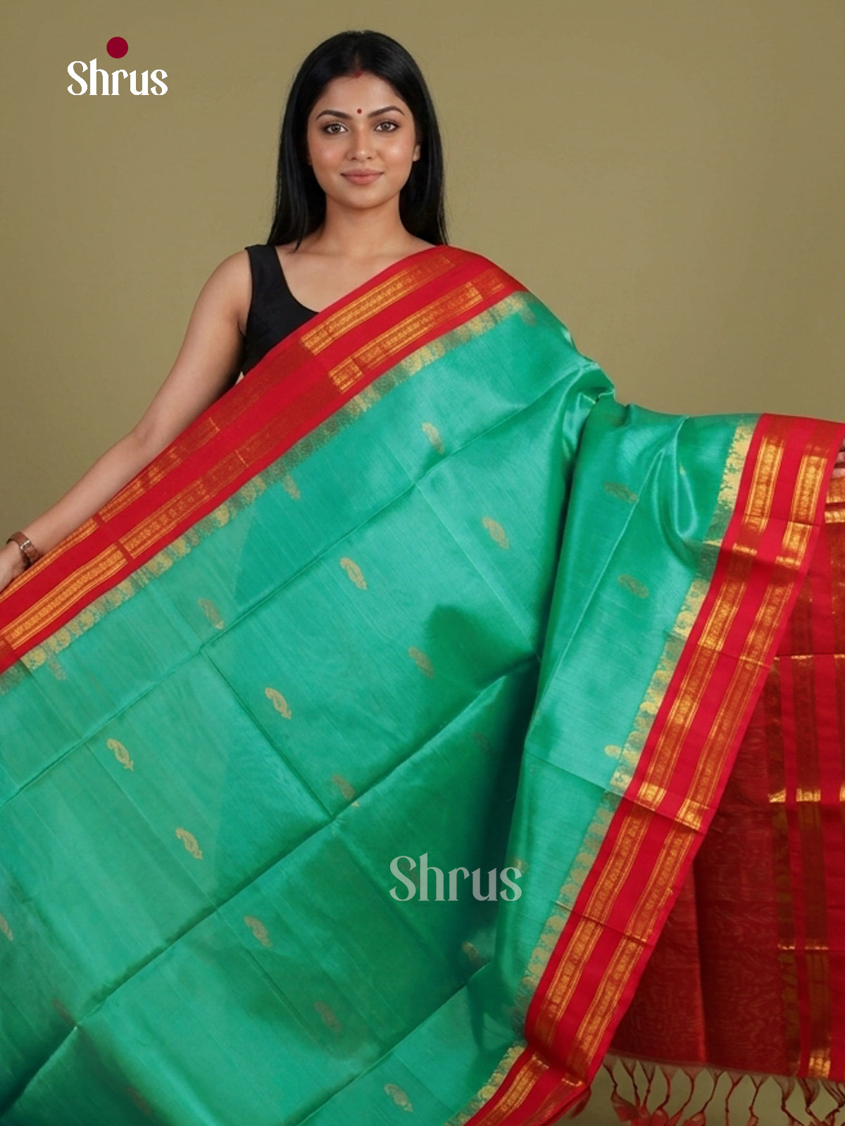 Silk Cotton Saree - EI01279