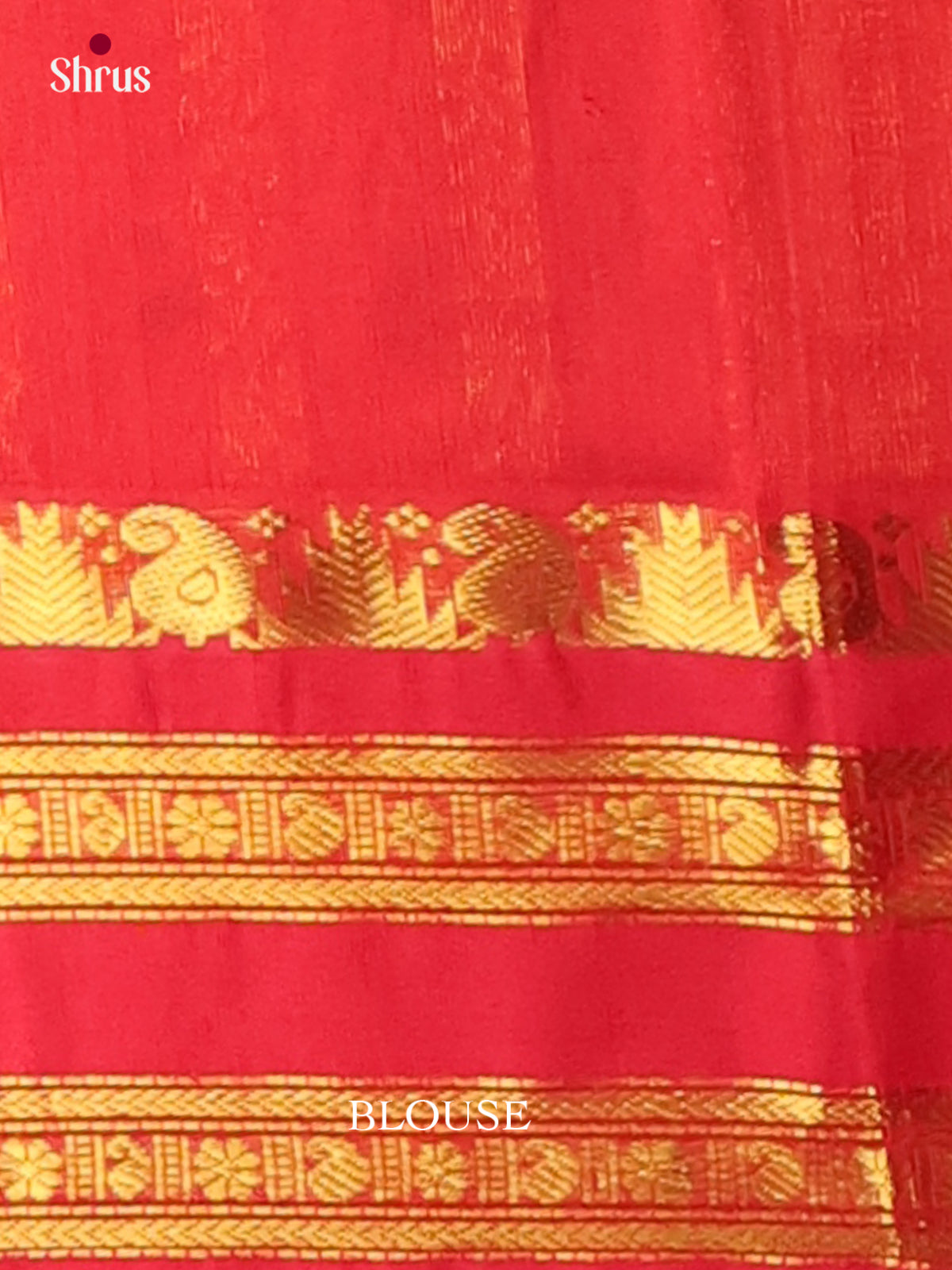 Silk Cotton Saree - EI01279