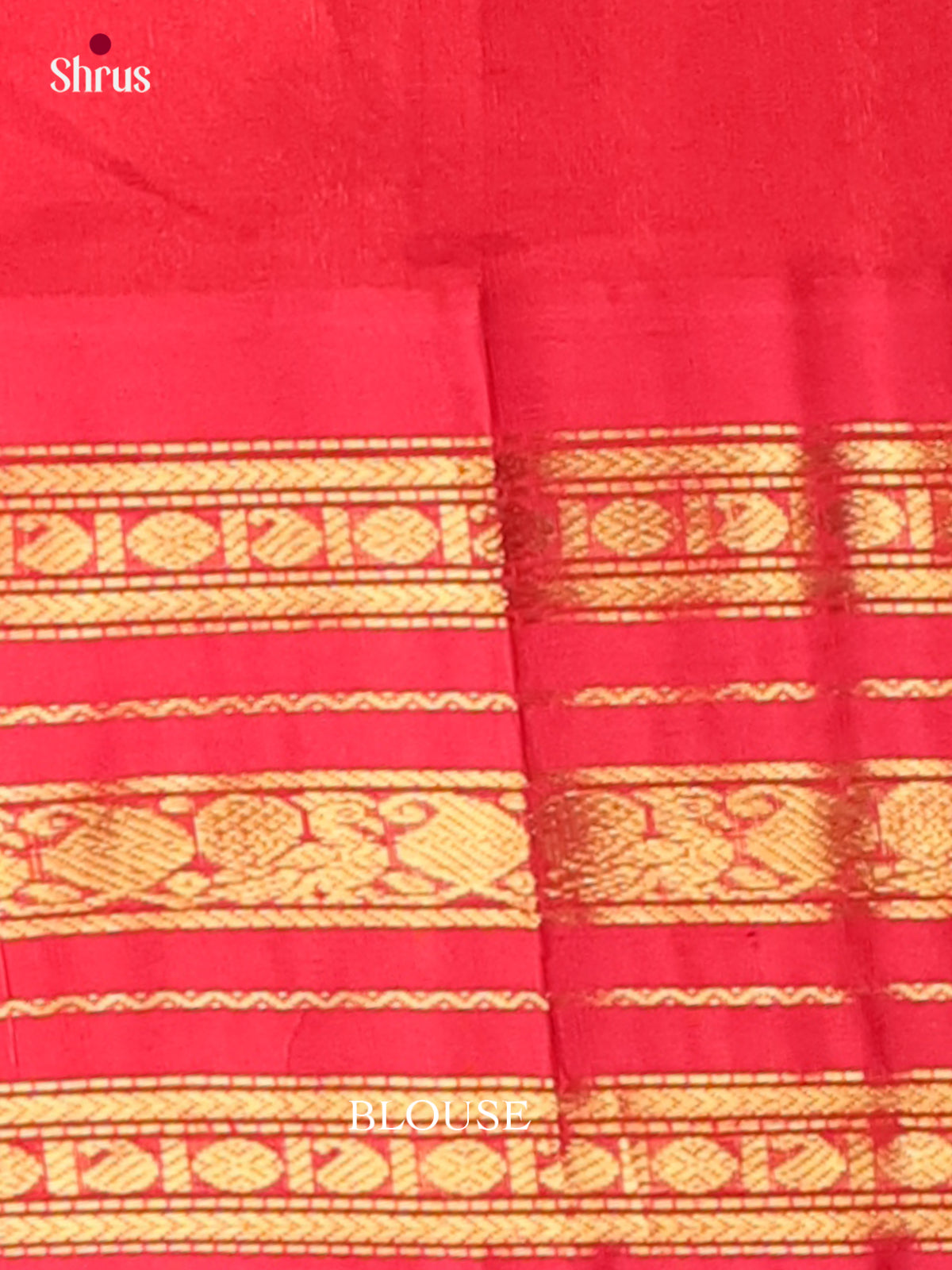 Silk Cotton Saree - EI01284