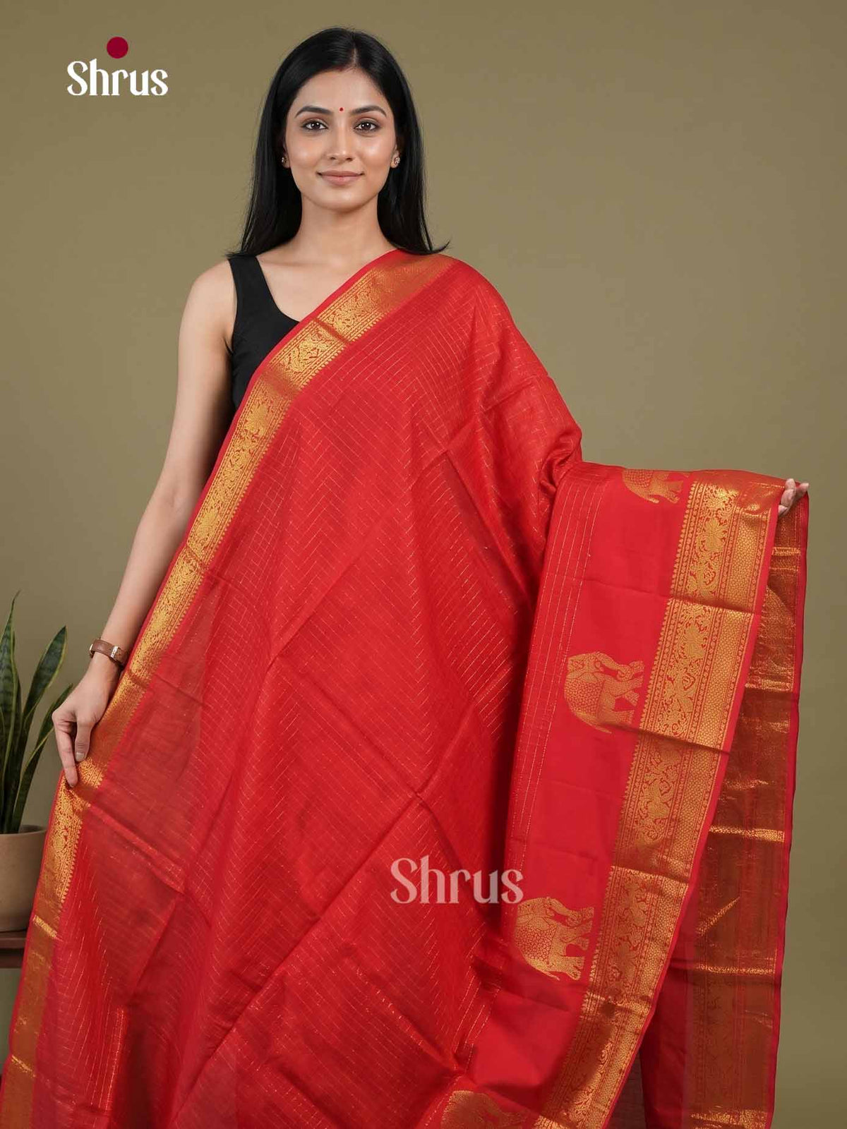 Silk Cotton Saree - EI01306