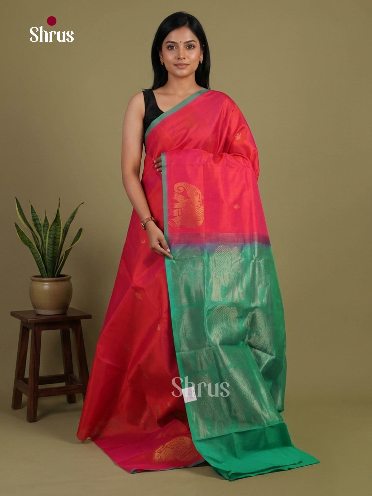 Silk Cotton Saree - EI01338
