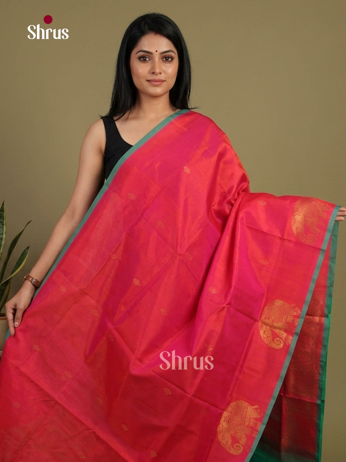 Silk Cotton Saree - EI01338