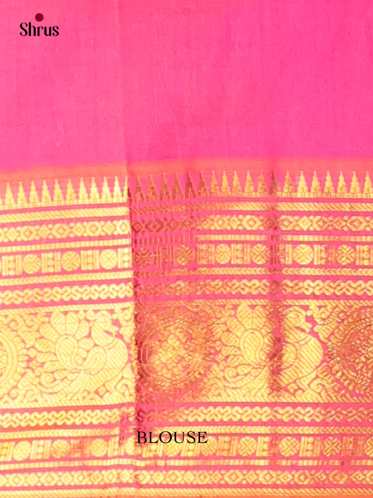Silk Cotton Saree - EI01394