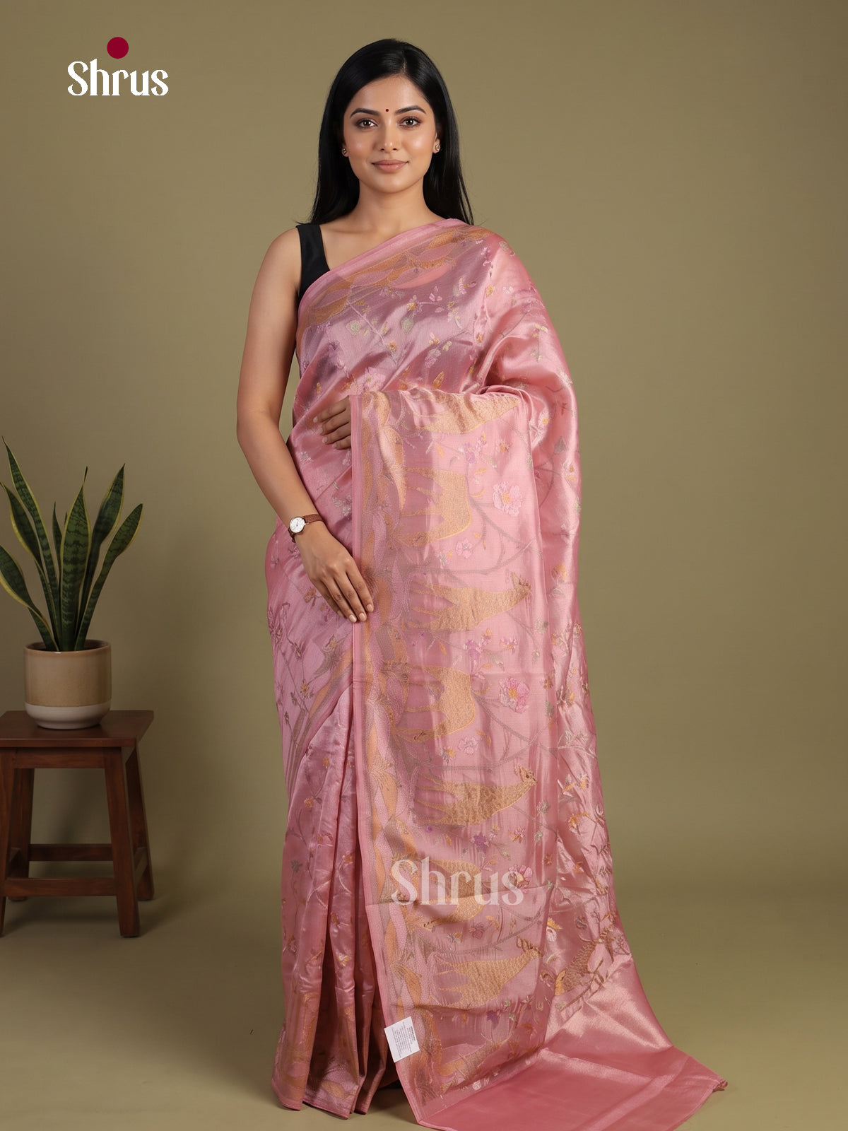 Tissue Embroidery Saree - EI01507