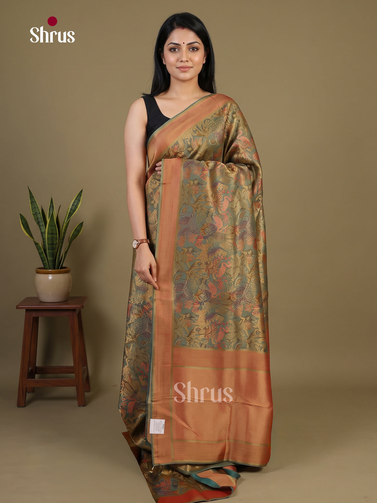 Banarasi Saree - EI02016