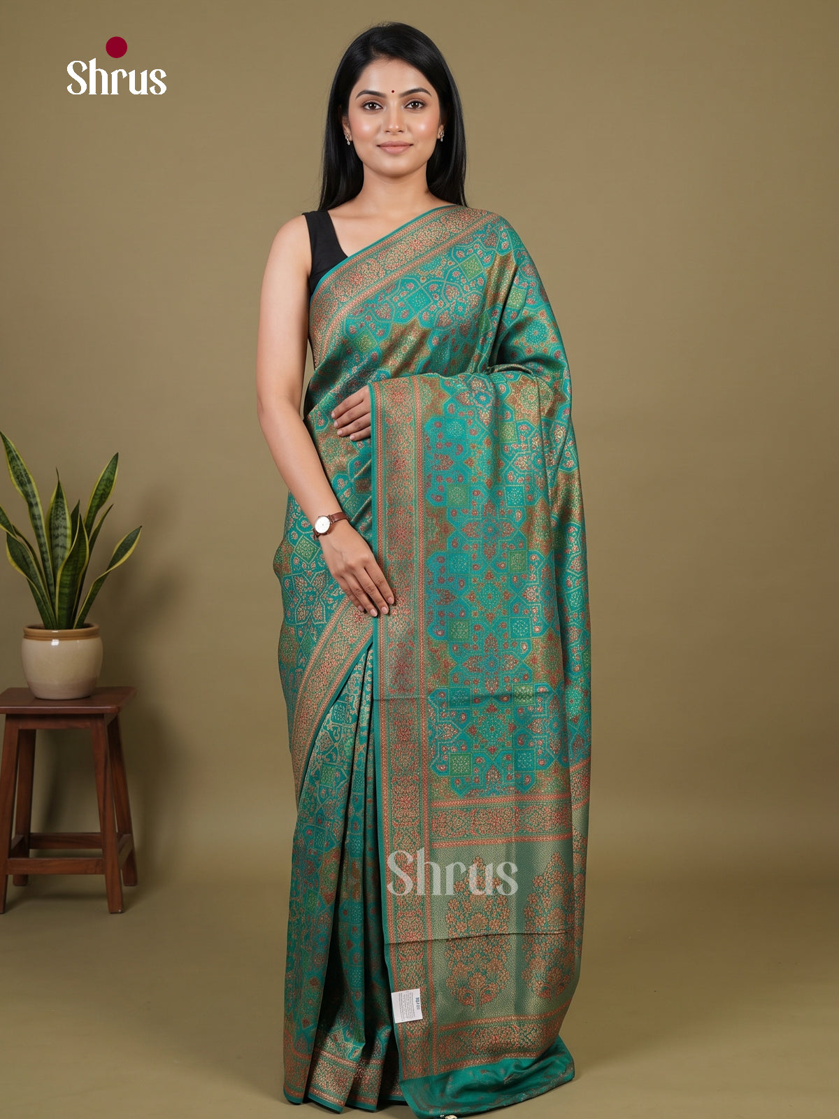 Banarasi Saree - EI02019