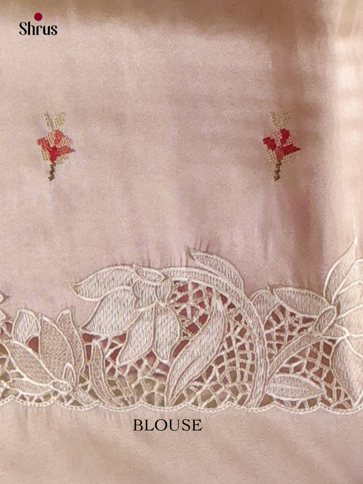 Tissue Embroidery Saree - EI02157