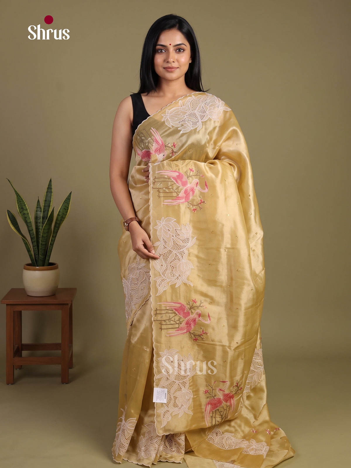 Tissue Embroidery Saree - EI02159