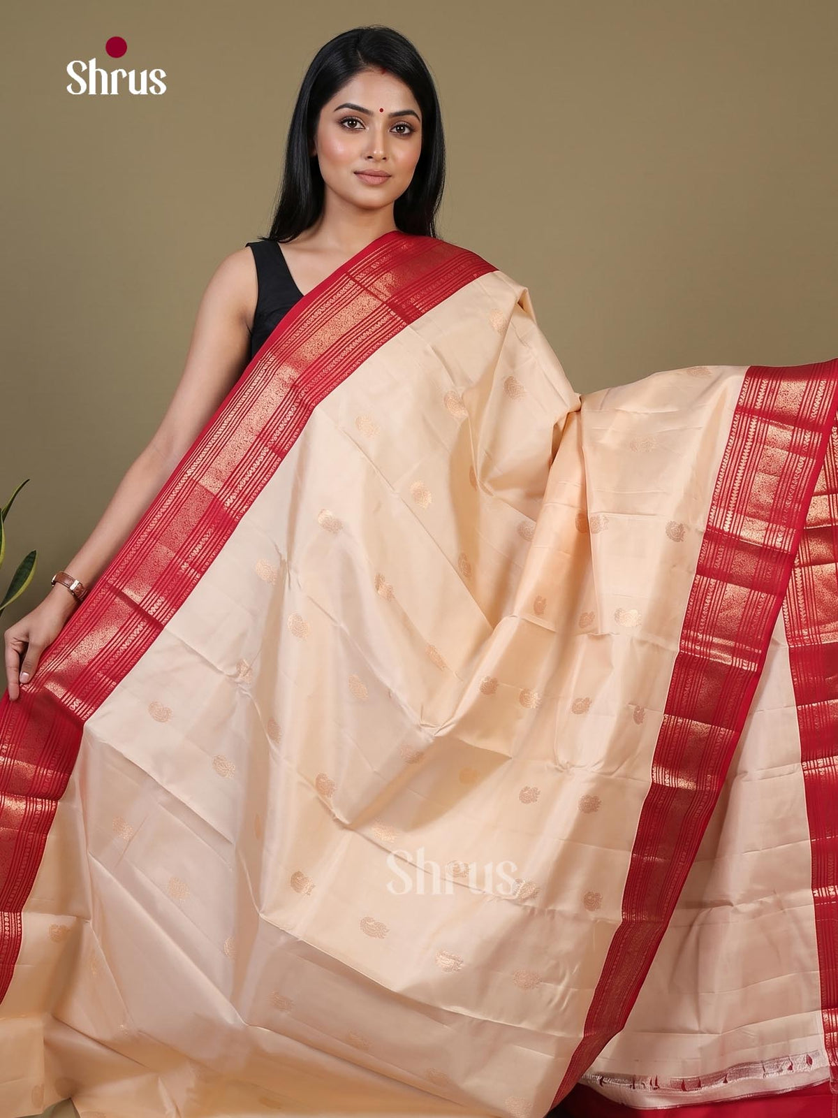 Kanchipuram silk Saree - EI02353
