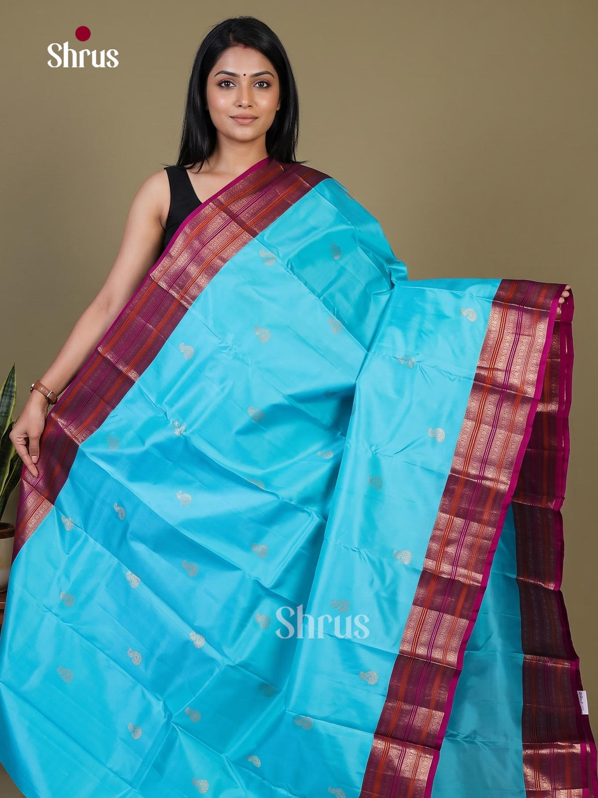 Kanchipuram silk Saree - EI02356