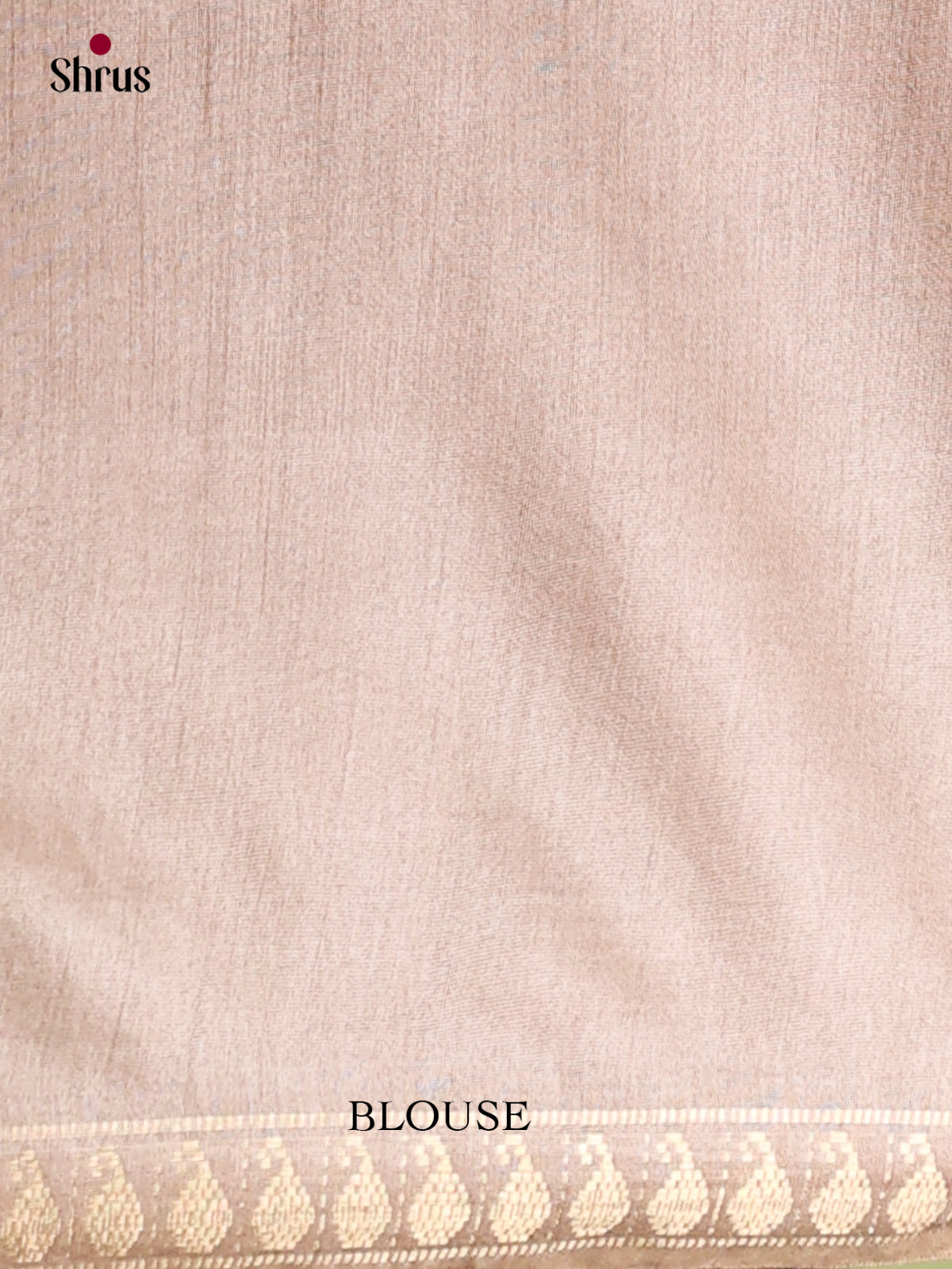 Semi Tussar Saree - EI05163