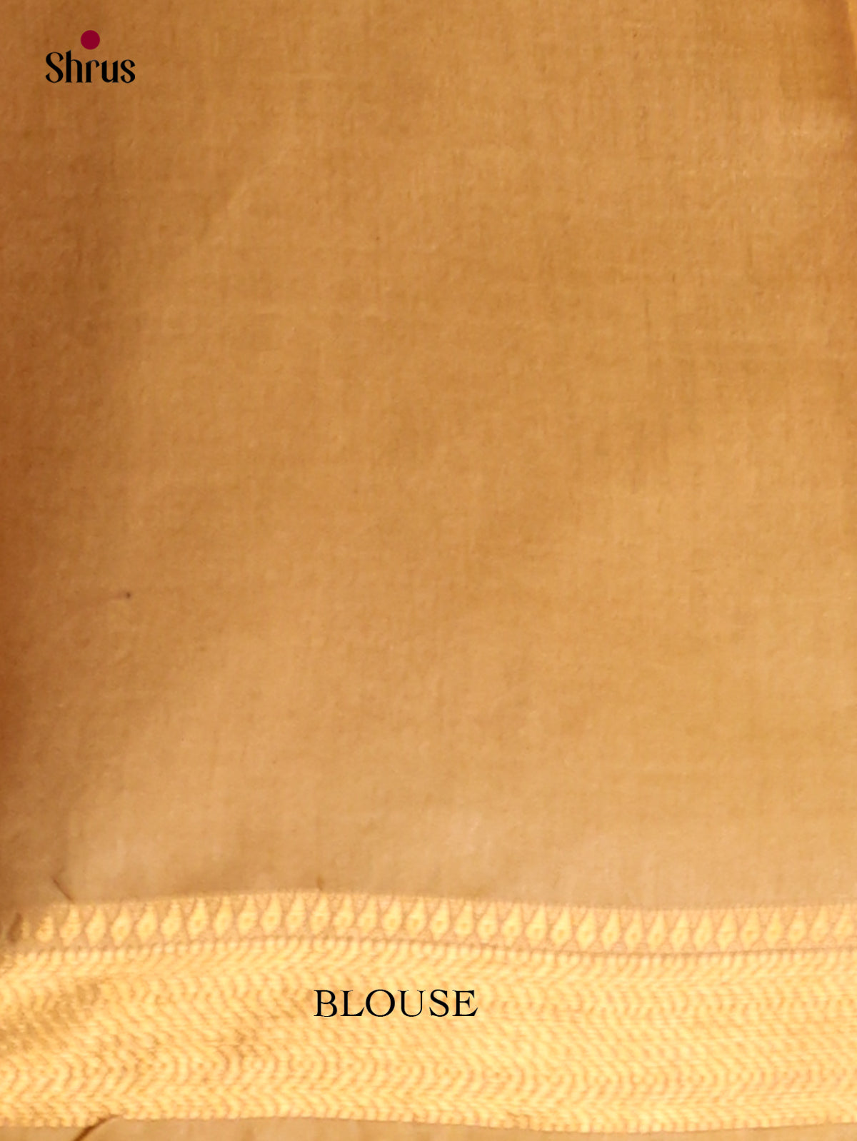 Semi Tussar Saree - EI05181