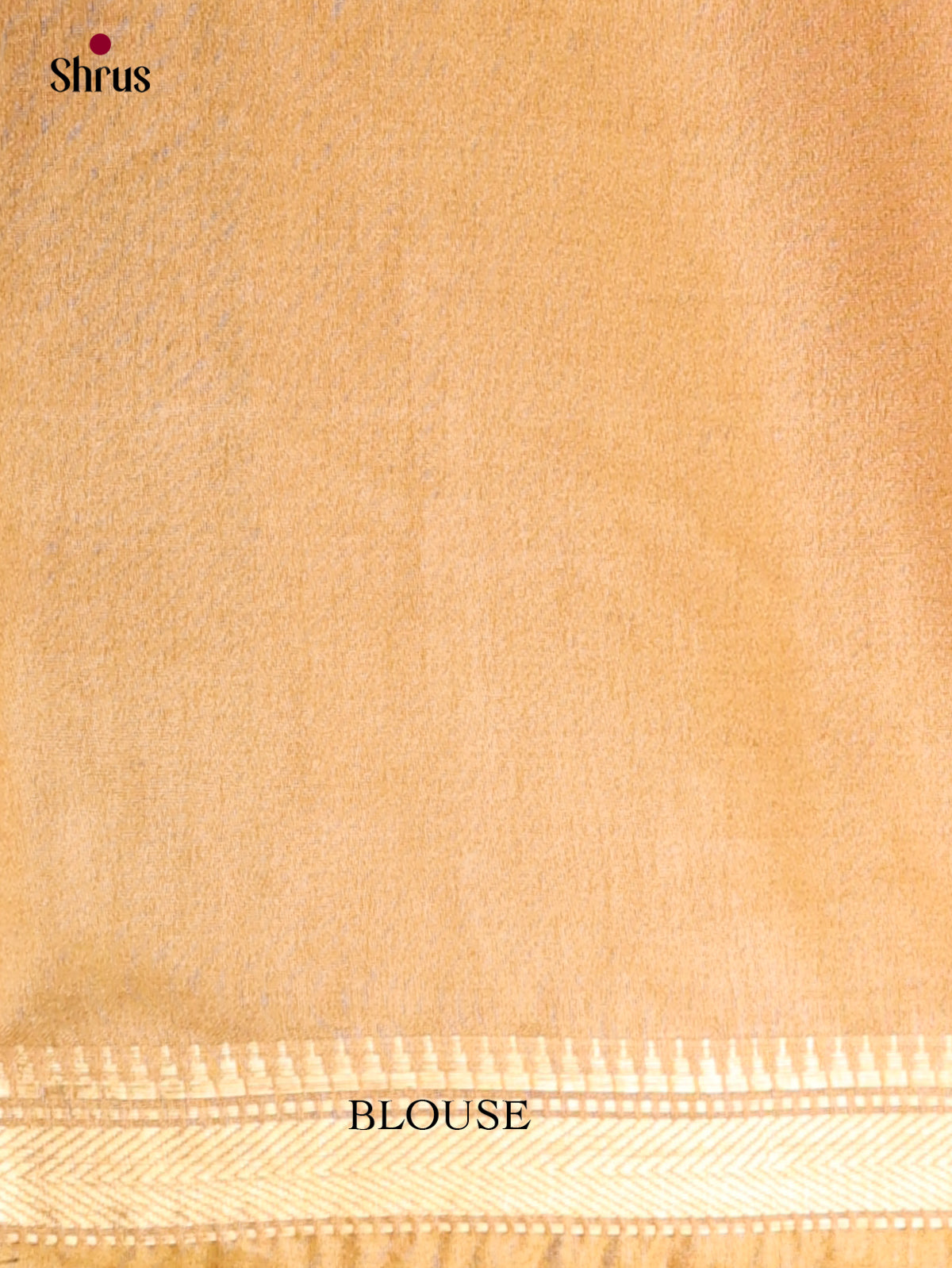 Semi Tussar Saree - EI05183
