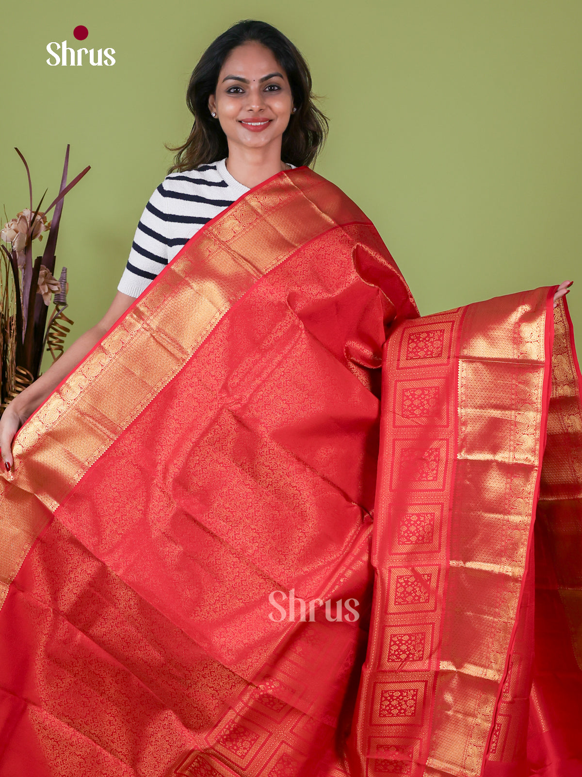 Kanchipuram silk Saree - EI08005