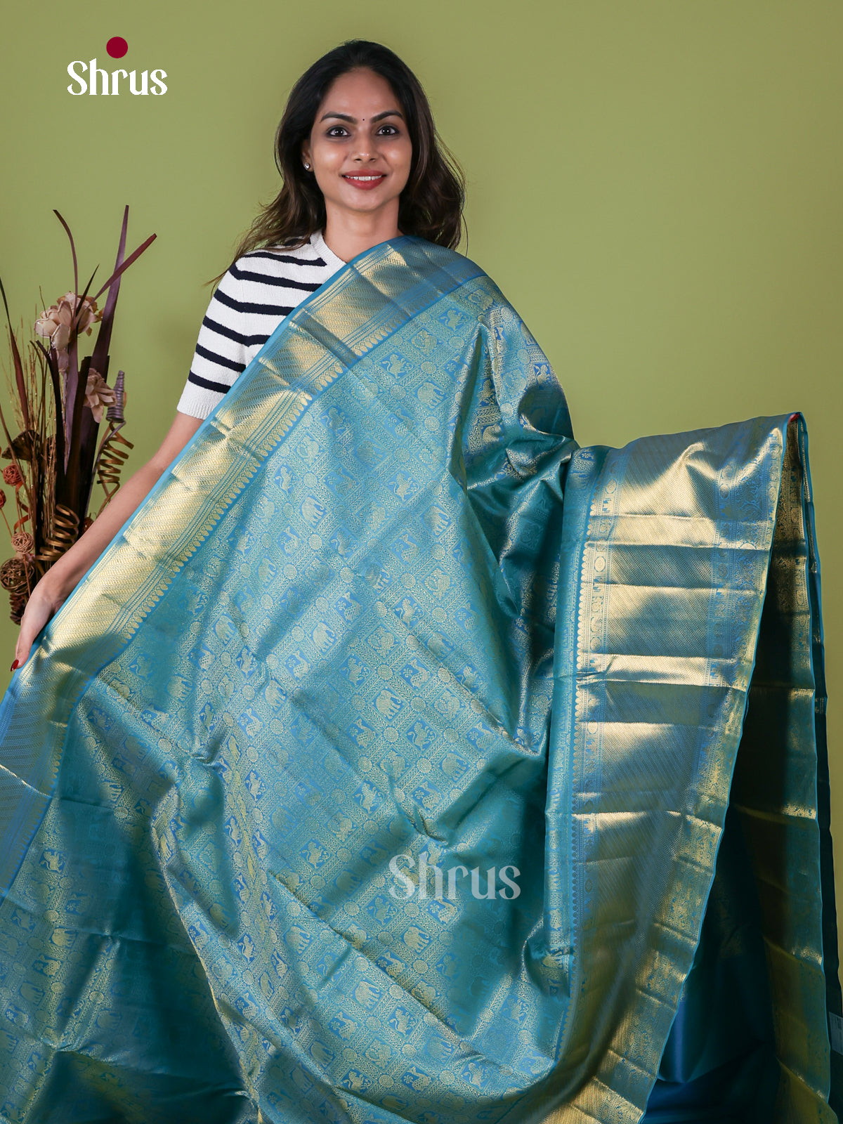 Kanchipuram silk Saree - EI08010