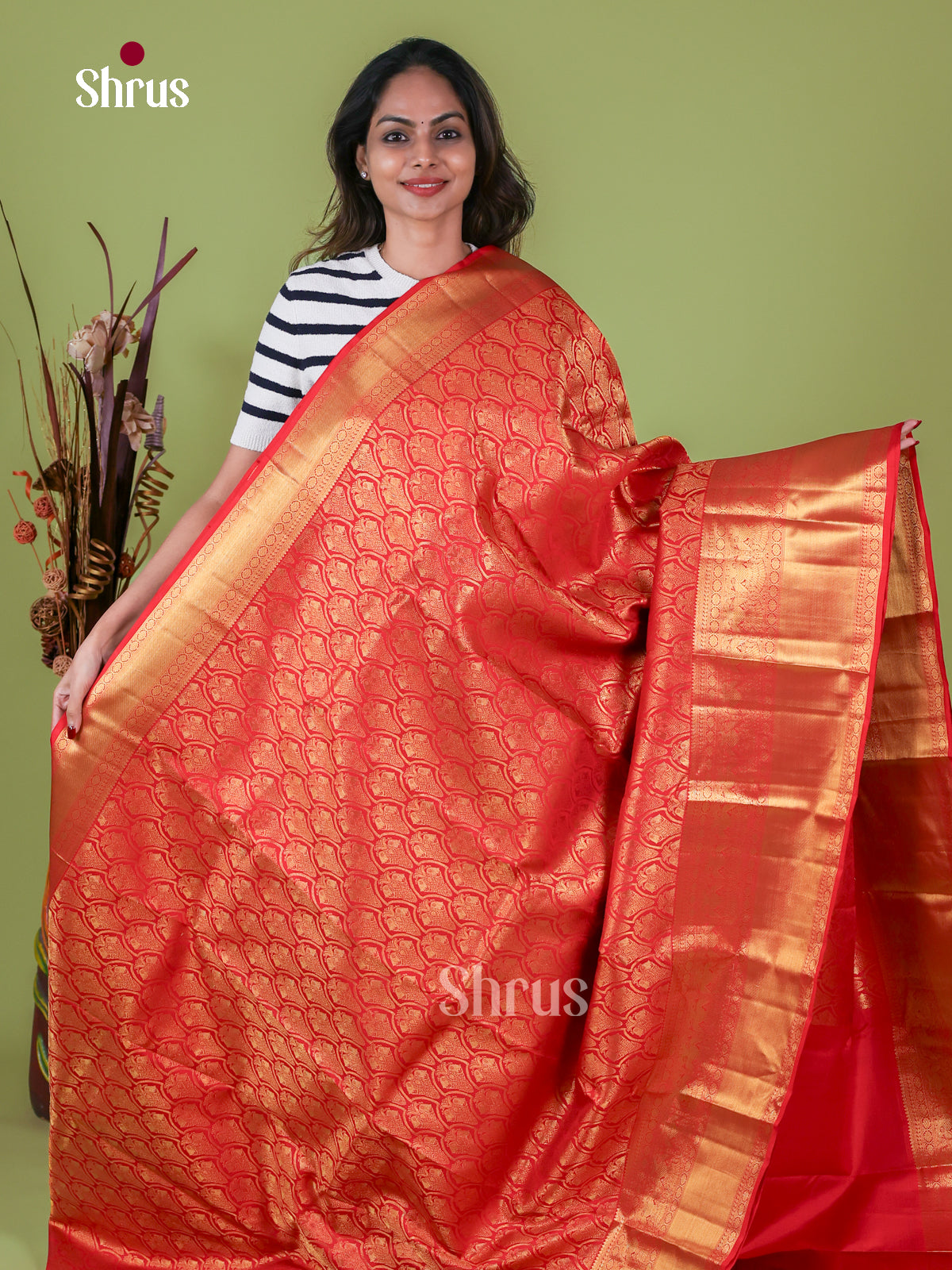 Kanchipuram silk Saree - EI08013