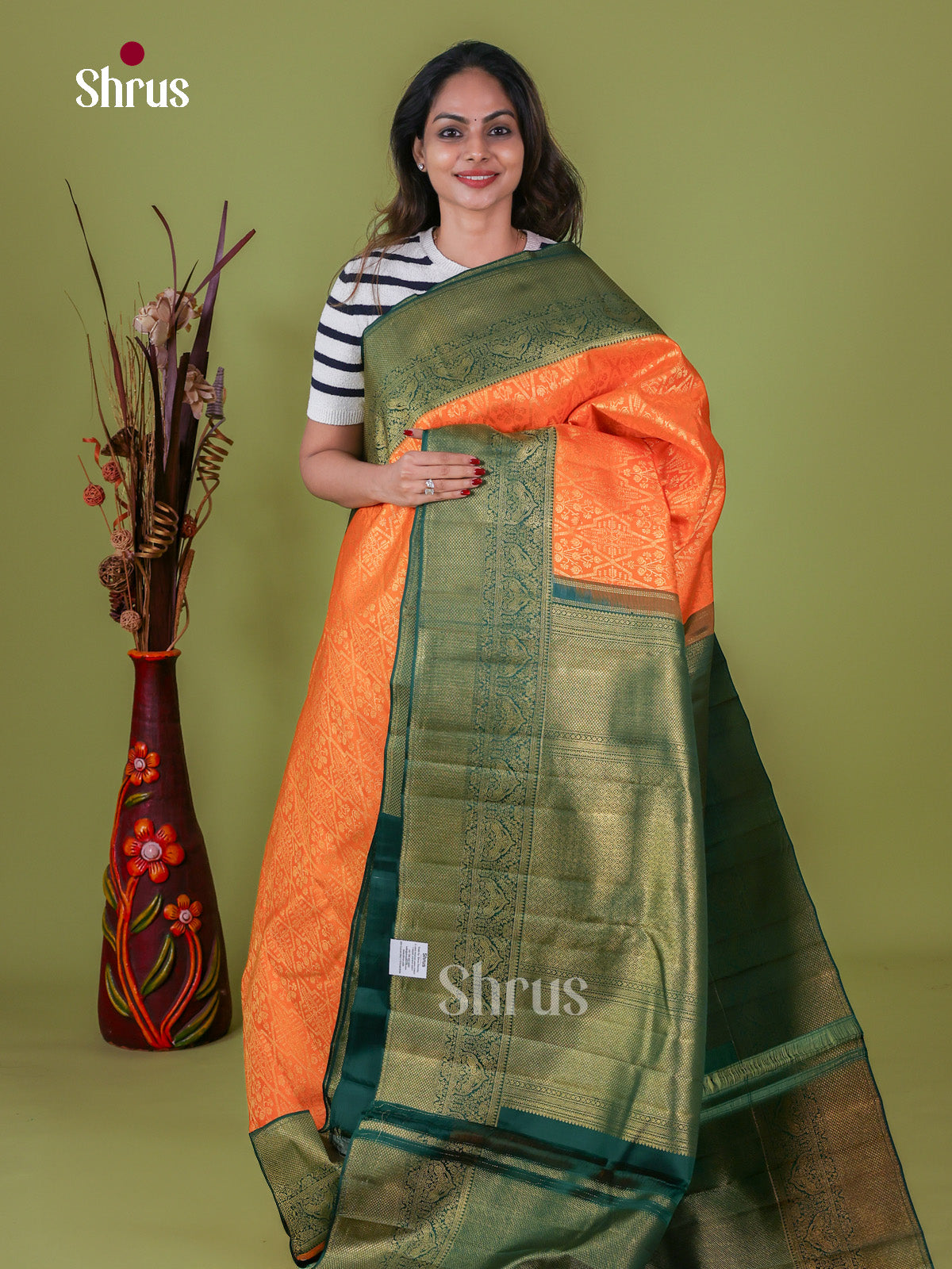 Kanchipuram silk Saree - EI08119