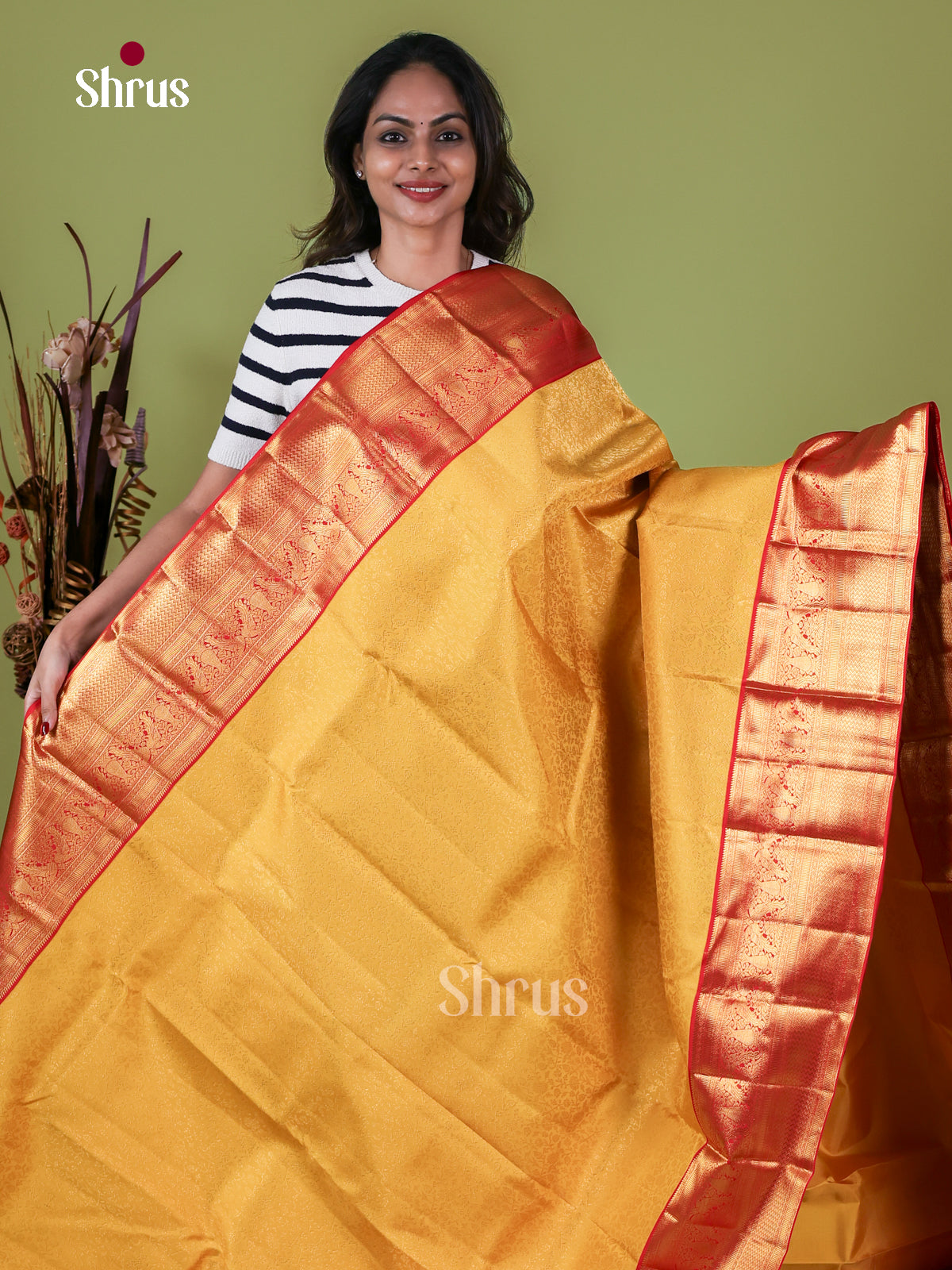 Kanchipuram silk Saree - EI08126