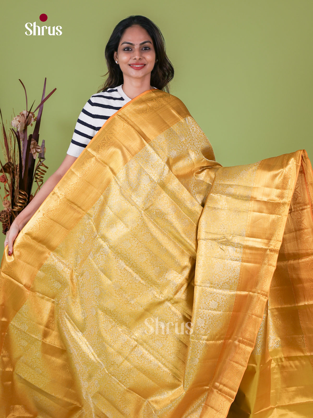 Kanchipuram silk Saree - EI08159