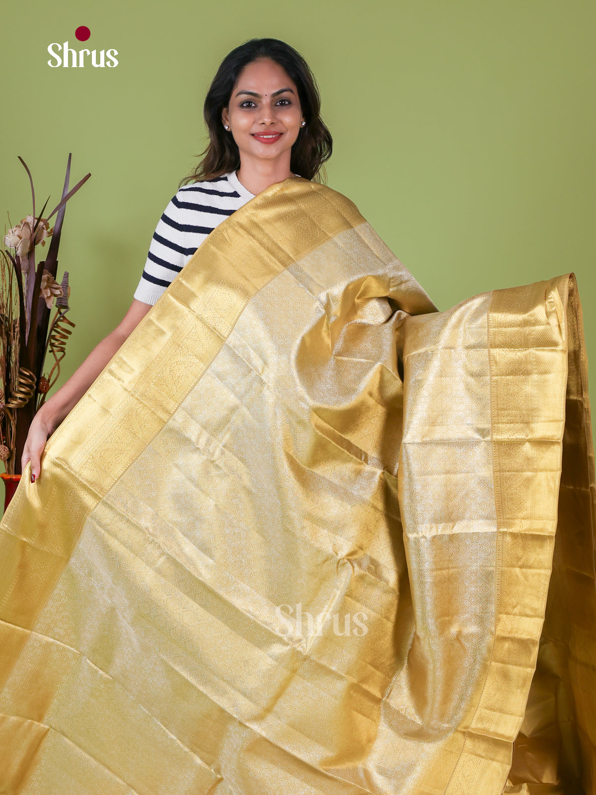 Kanchipuram silk Saree - EI08184