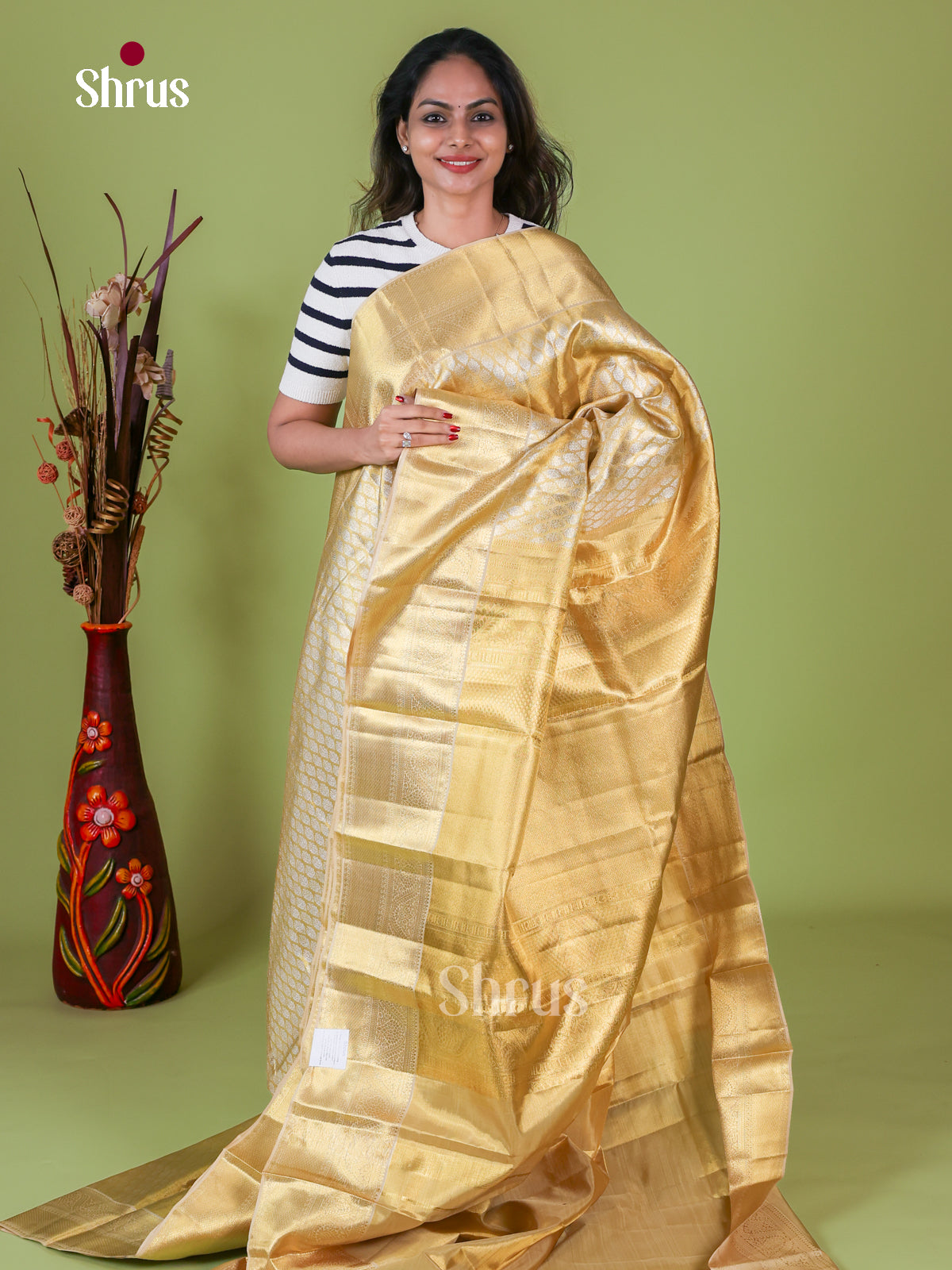 Kanchipuram silk Saree - EI08189