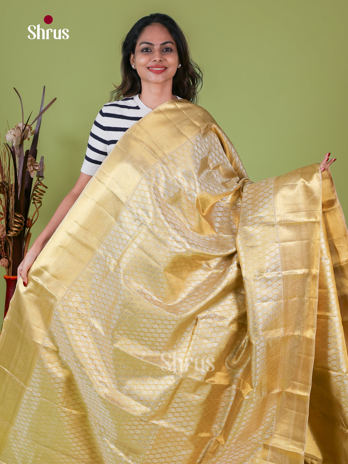 Kanchipuram silk Saree - EI08189