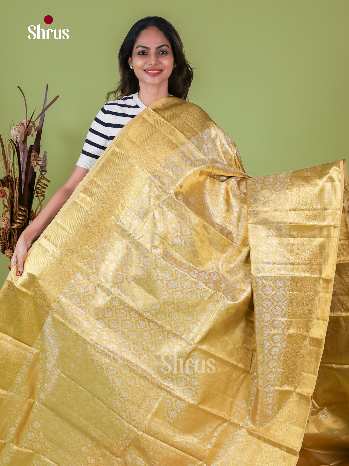 Kanchipuram silk Saree - EI08192