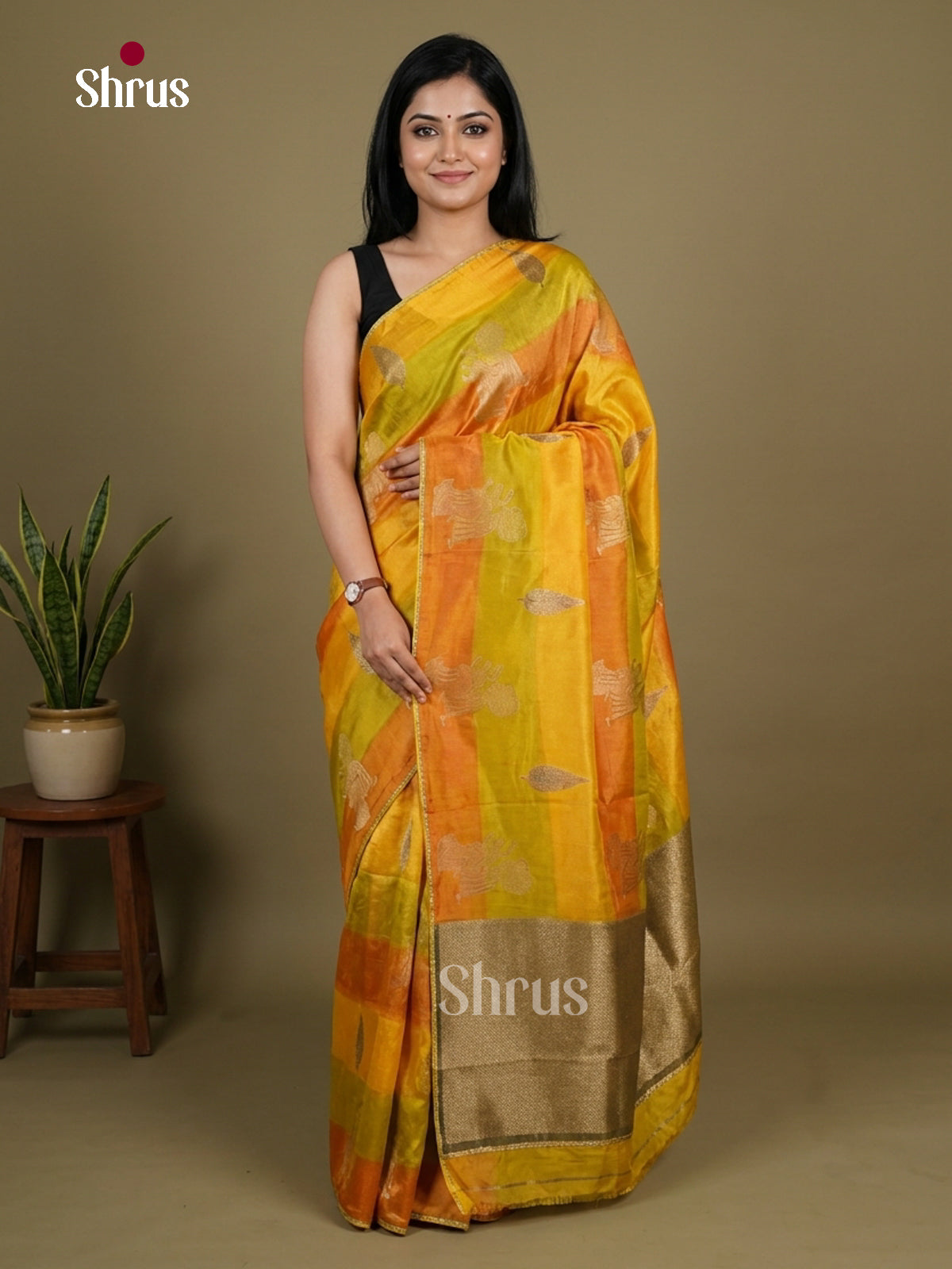 Banarasi Saree - EI12009