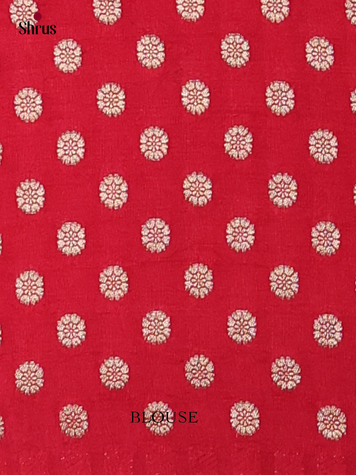 Banarasi Saree - EI12012