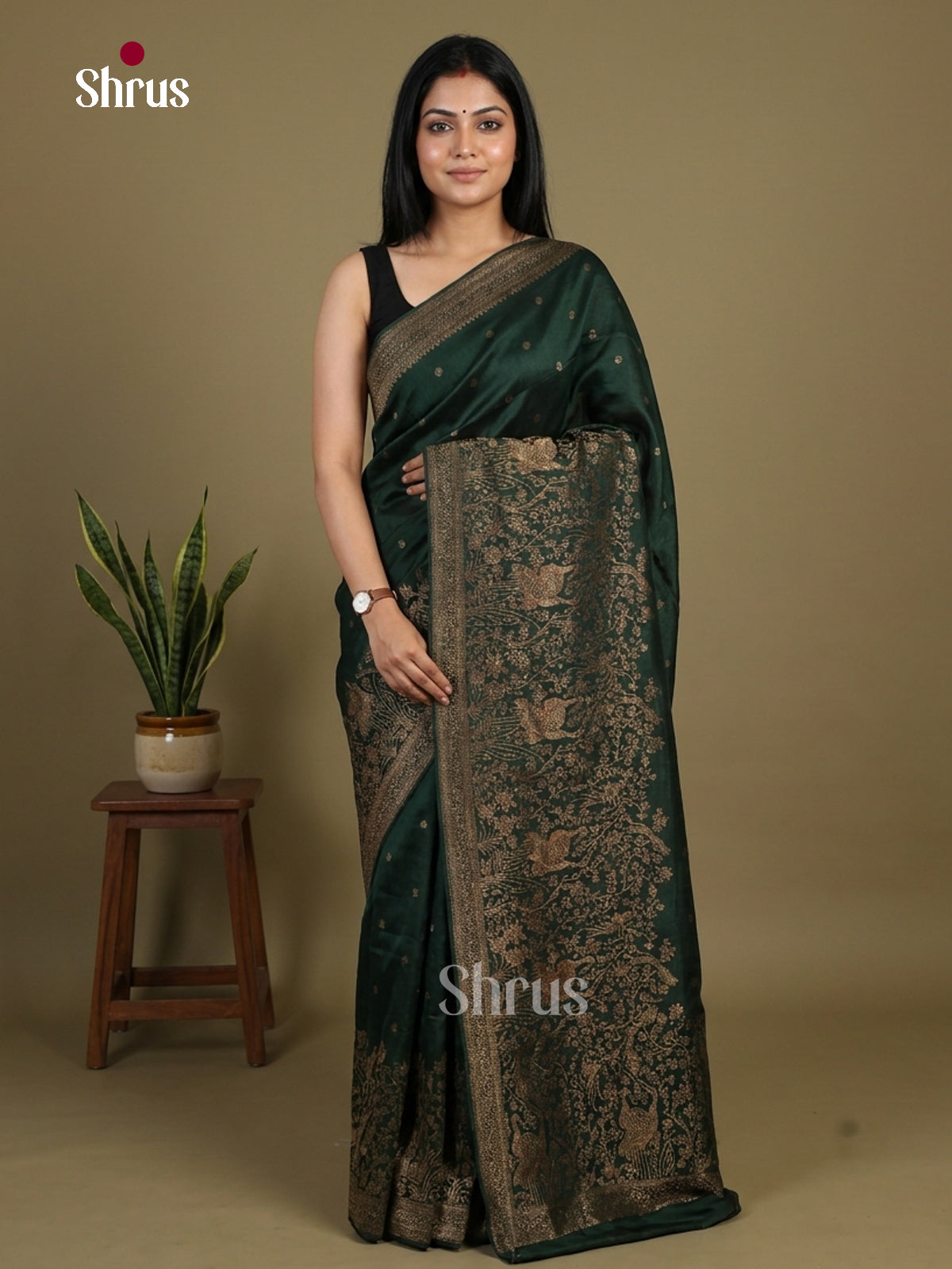 Banarasi Saree - EI12014