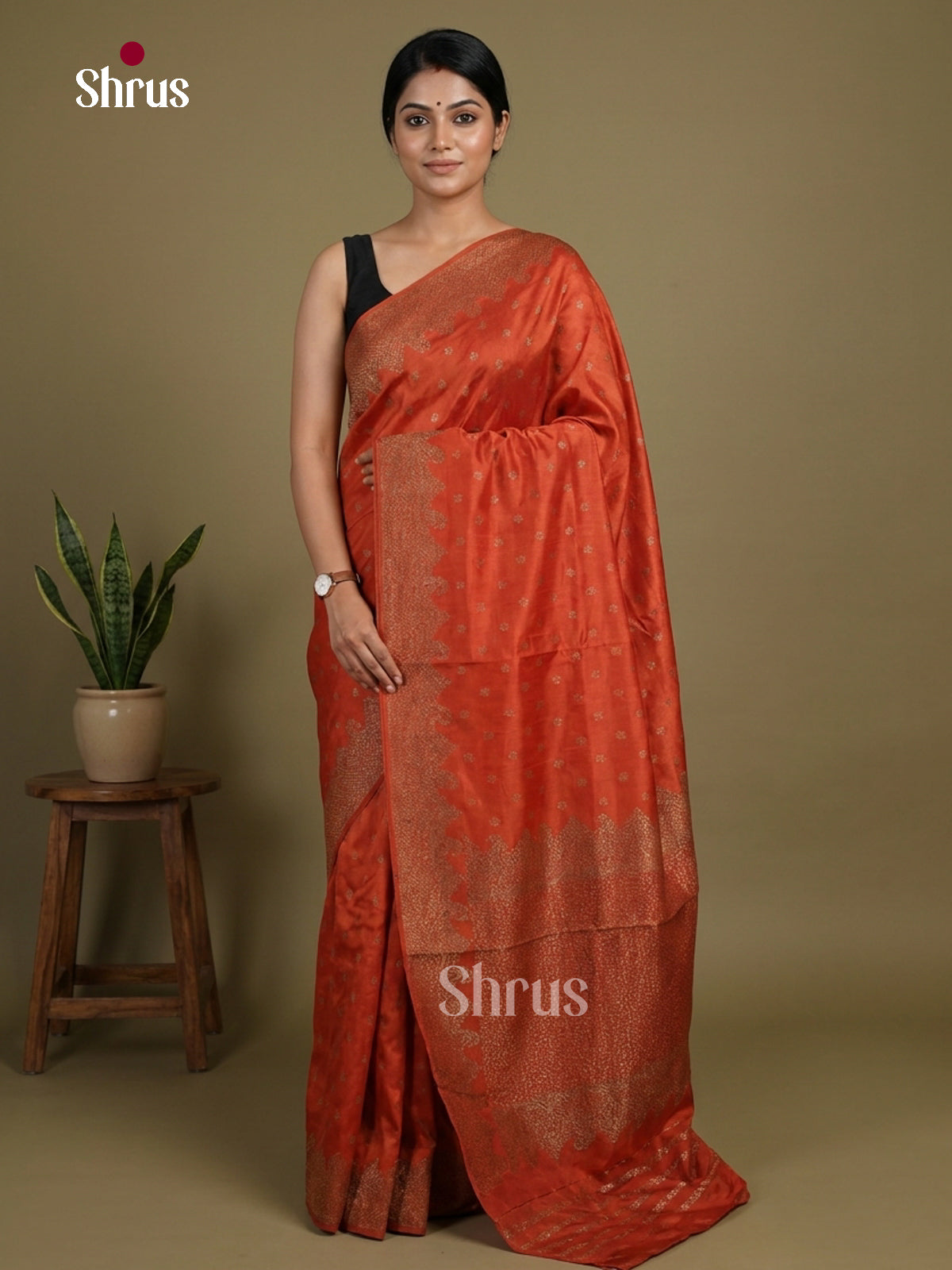 Banarasi Saree - EI12015
