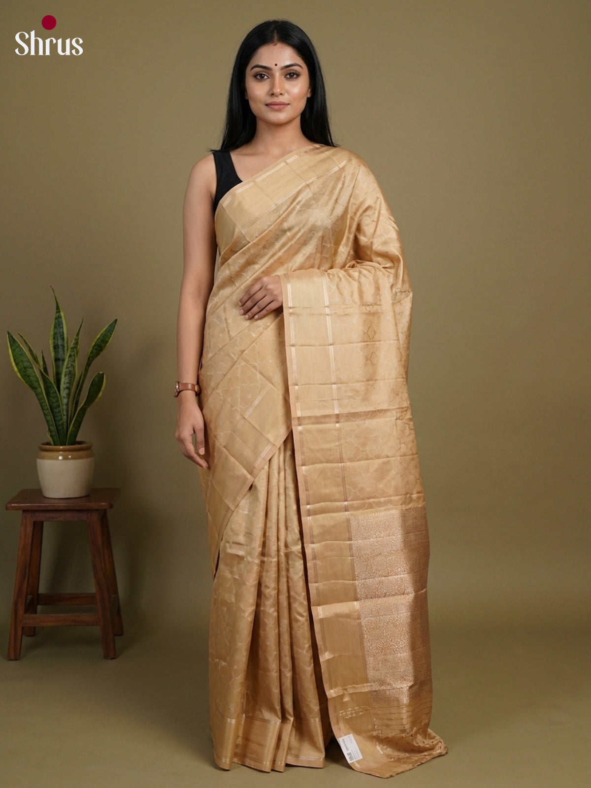 Apoorva Silk Saree - EI16065