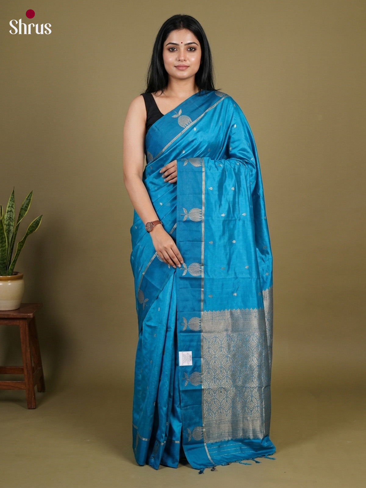 Apoorva Silk Saree - EI16069