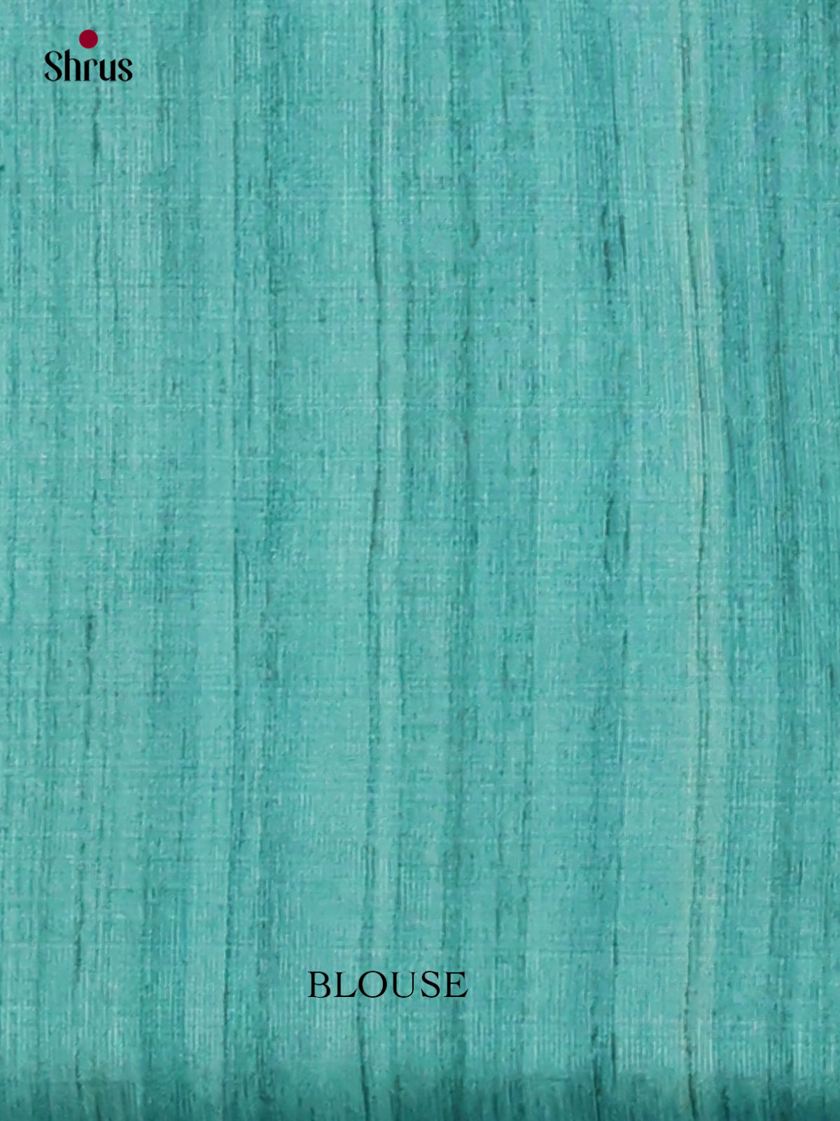 Light Blue & Cream - Printed Madhubani Saree - Shop on Shrus.com