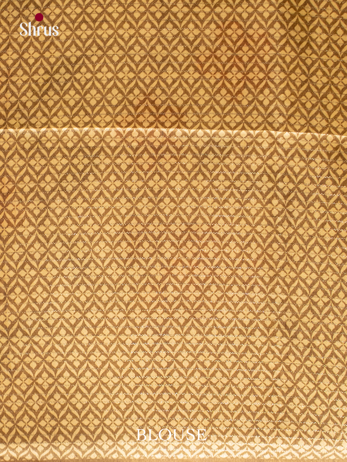 Printed Semi Tussar Saree - EI17090