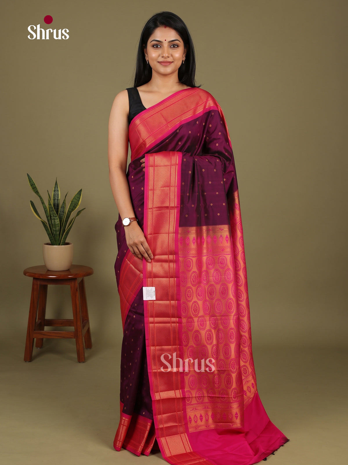 Semi Paithani Saree - EI19129