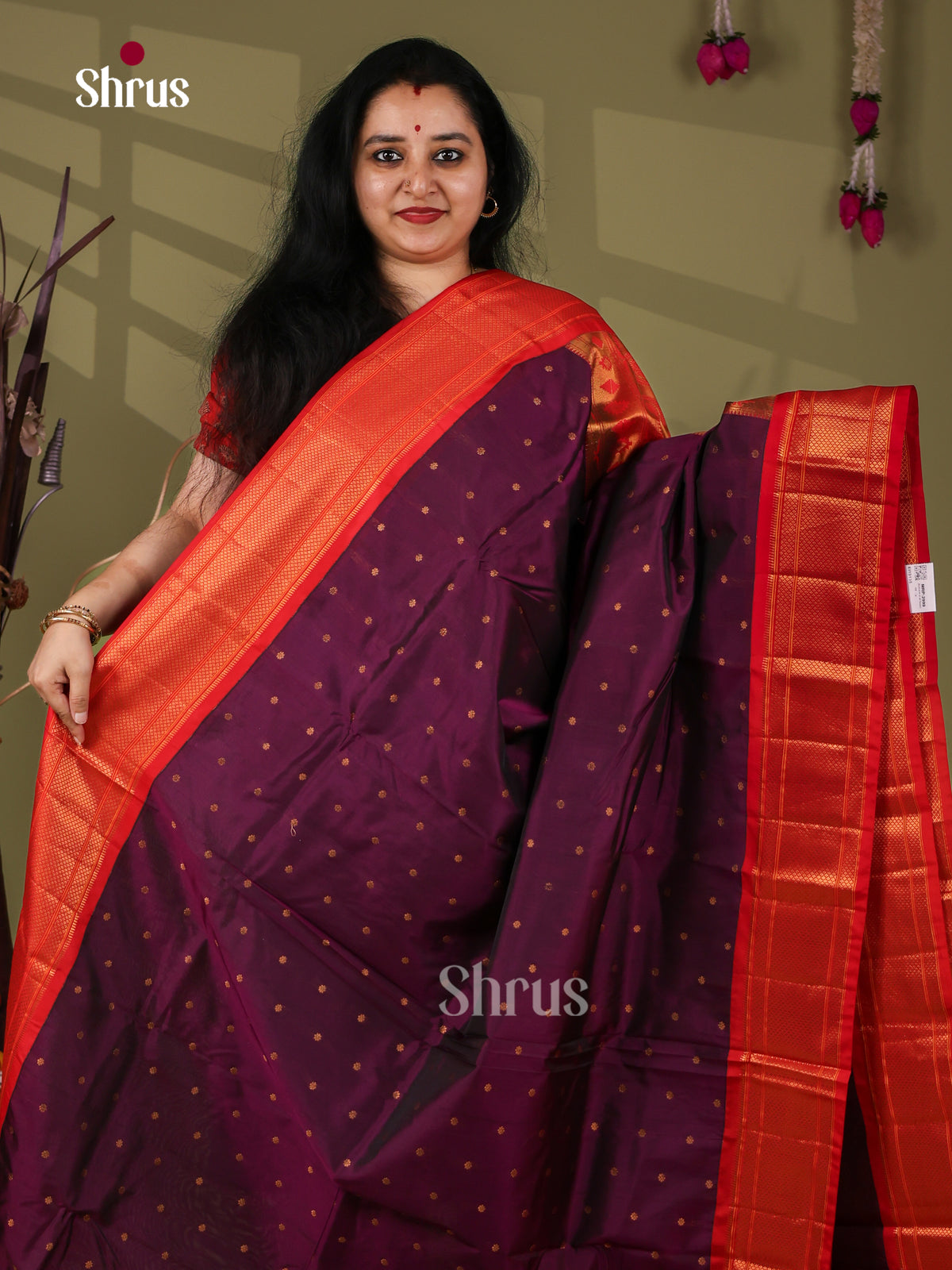 Semi Paithani Saree - EI19135