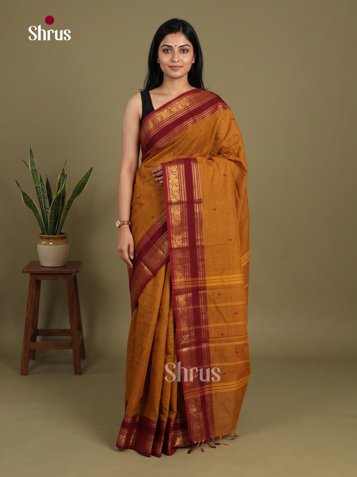 Chettinad Cotton Saree - EI21060