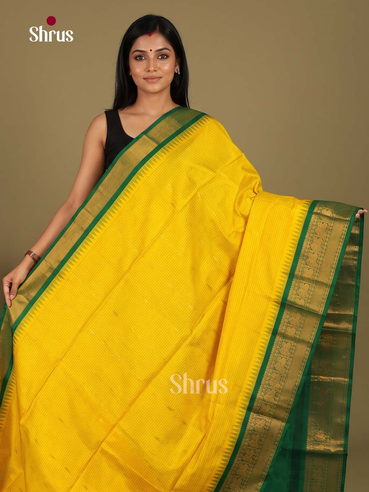 Silk Cotton Saree - EI23002