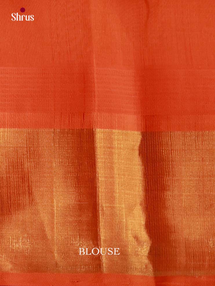 Silk Cotton Saree - EI23006