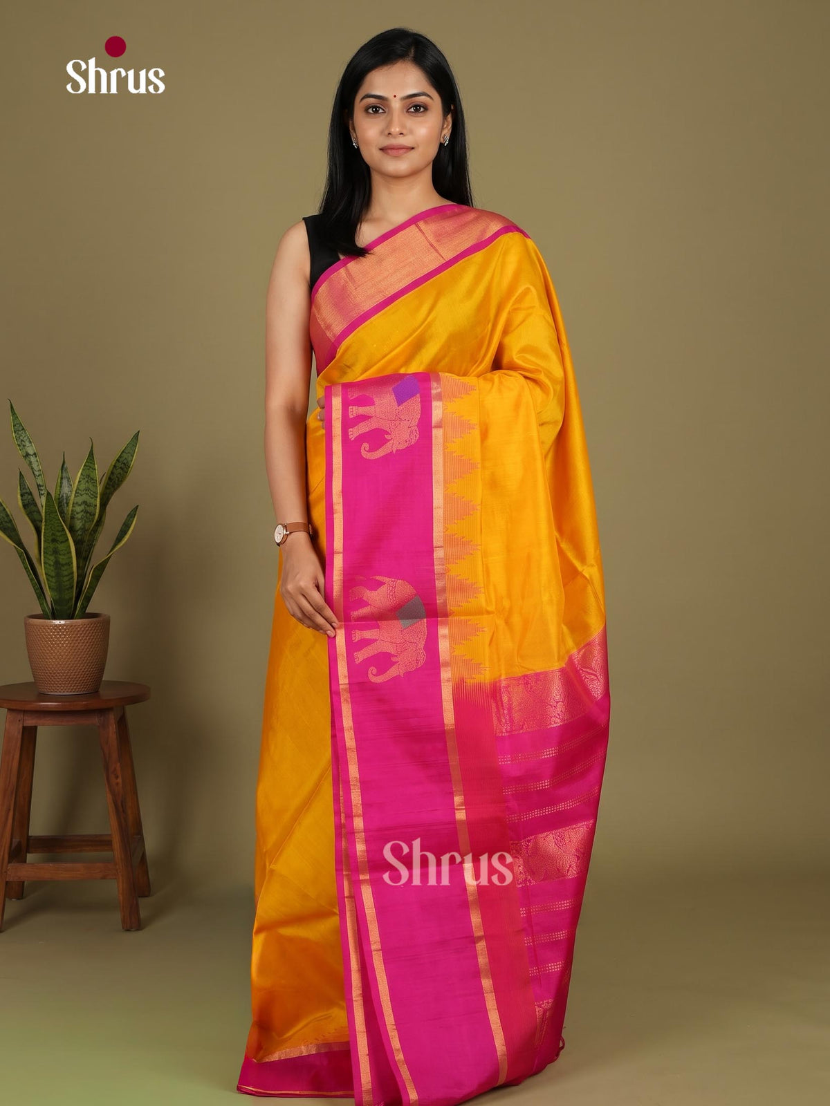 Silk Cotton Saree - EI23009