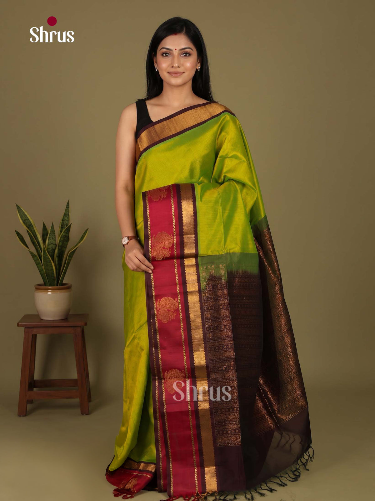 Silk Cotton Saree - EI23010